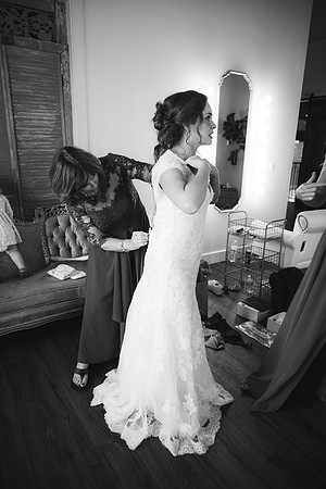 DSC_bw5338